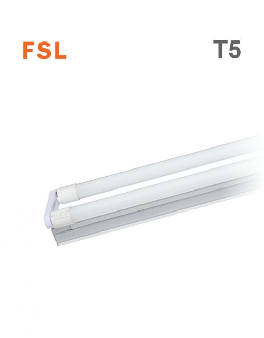 פס אמריקאי T5